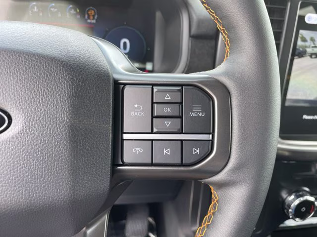 2026 Agate Black Metallic Ford F-150 Tremor 4X4 Truck
