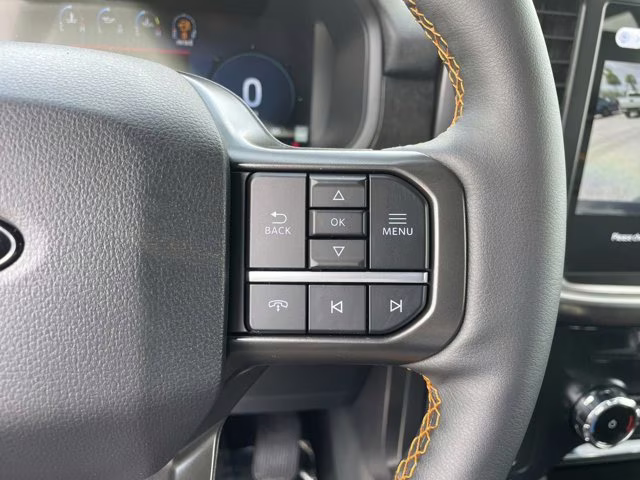 2026 Agate Black Metallic Ford F-150 Tremor 4X4 Truck