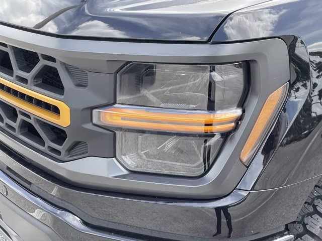 2026 Agate Black Metallic Ford F-150 Tremor 4X4 Truck