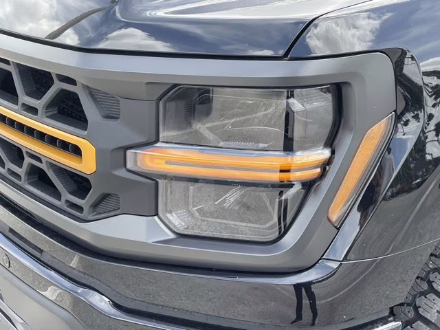 2026 Agate Black Metallic Ford F-150 Tremor 4X4 Truck