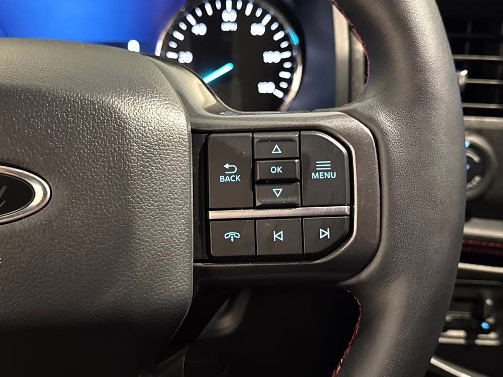 2024 Black Metallic Ford Expedition Limited RWD SUV