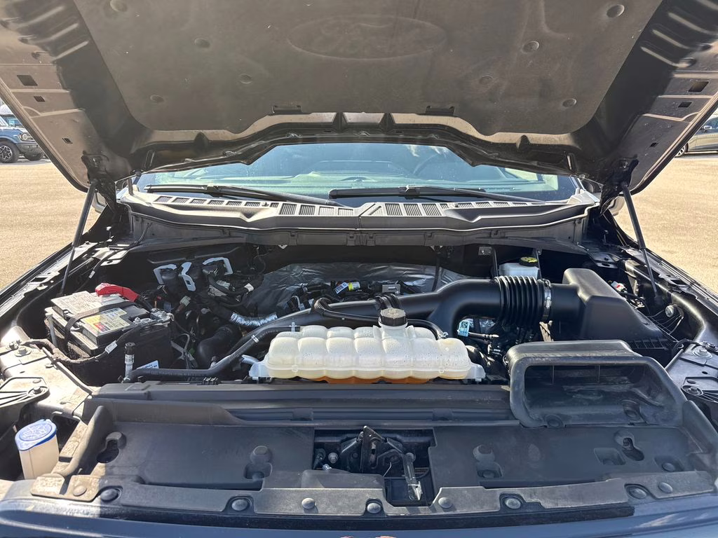 2024 Agate Black Metallic Ford F-150 XLT 4X4 Truck