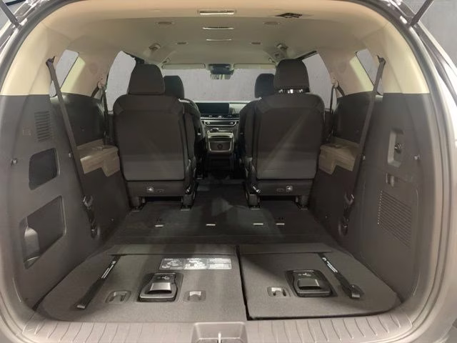 2026 Panthera Metal Kia Carnival LX FWD Van