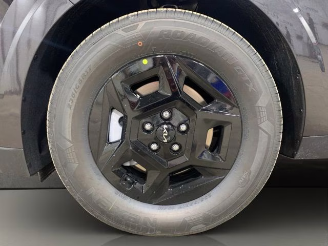 2026 Panthera Metal Kia Carnival LX FWD Van