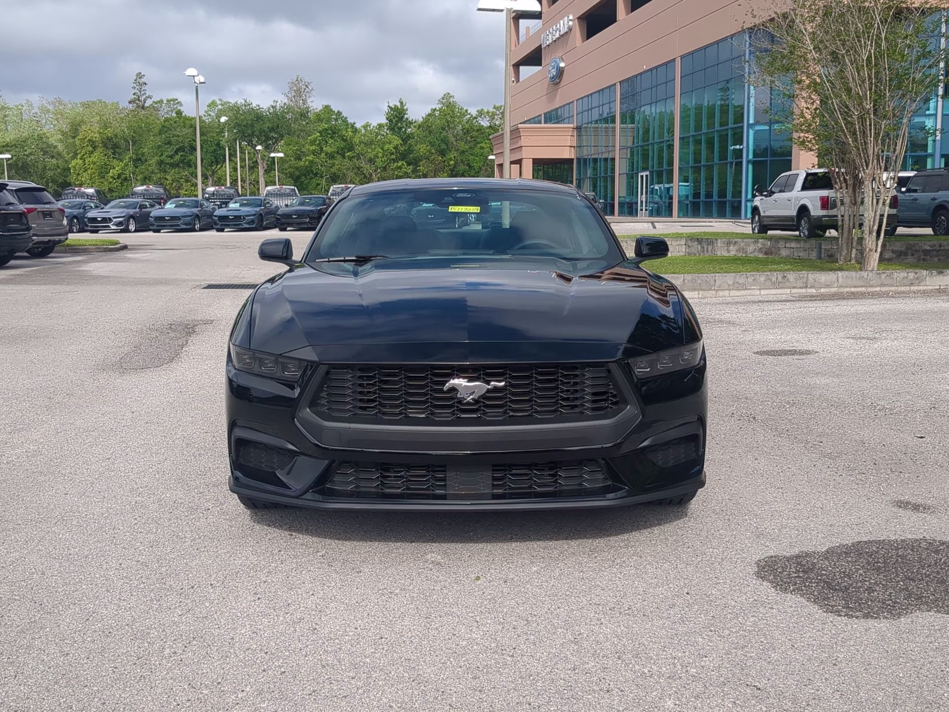 2026 Shadow Black Ford Mustang EcoBoost RWD Coupe