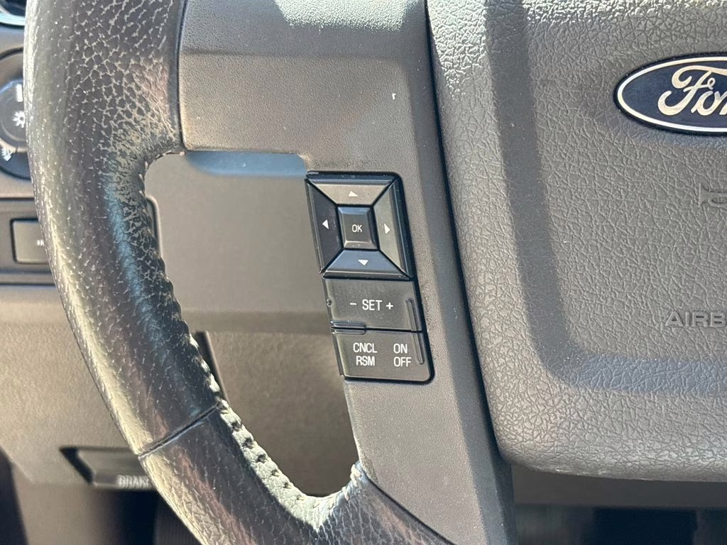 2014 Sunset Ford F-150 XLT RWD Truck