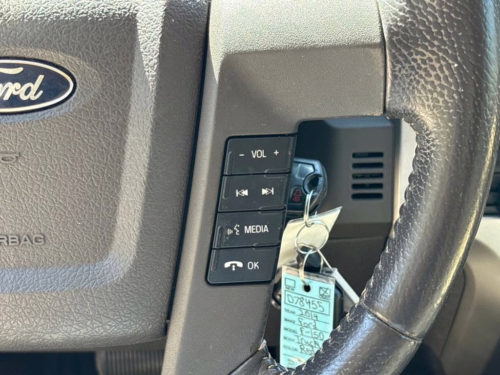 2014 Sunset Ford F-150 XLT RWD Truck