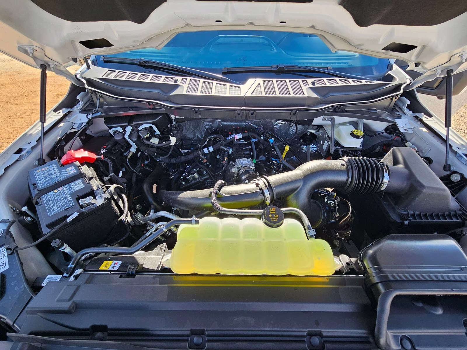 2026 Avalanche Ford F-150 XLT RWD Truck