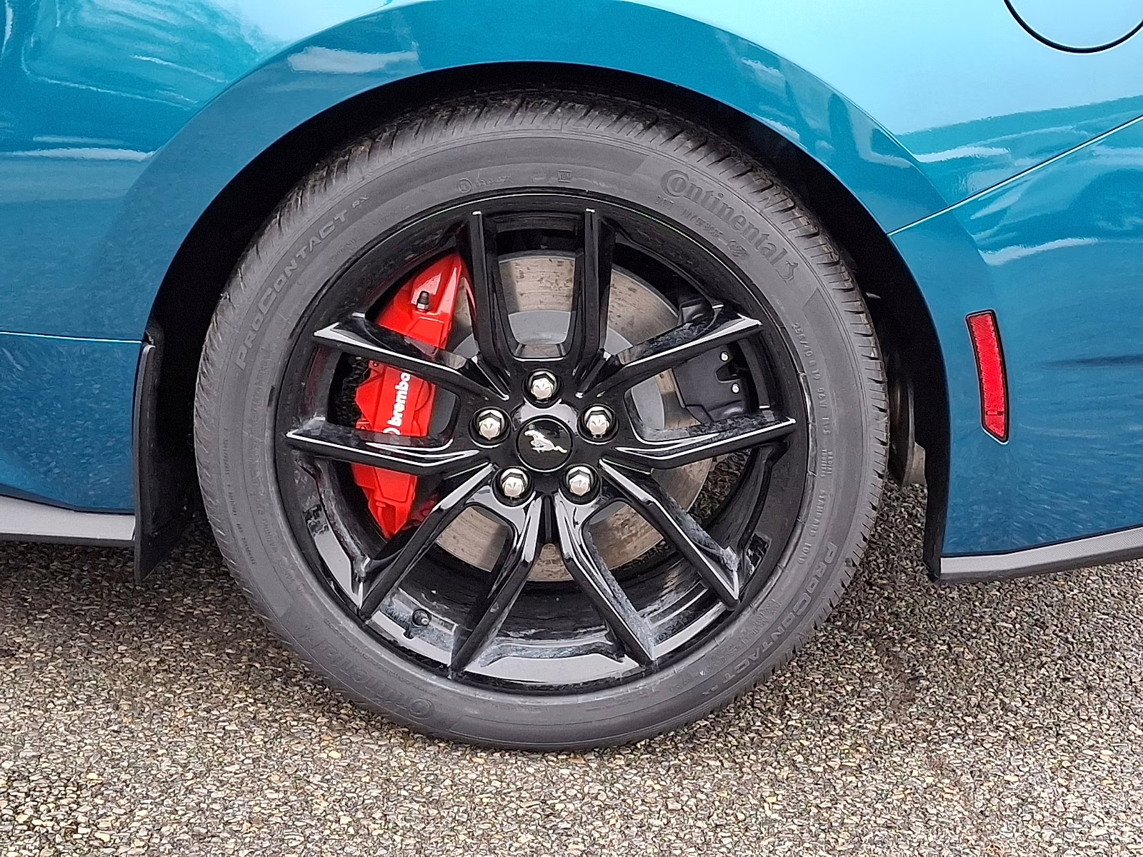 2026 Adriatic Blue Metallic - B2 Ford Mustang GT Fastback RWD