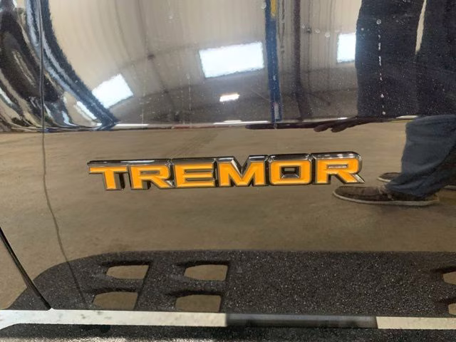 2026 Agate Black Metallic Ford Expedition Tremor 4X4 SUV