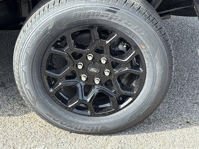 2026 Black Ford F-150 XLT RWD Truck