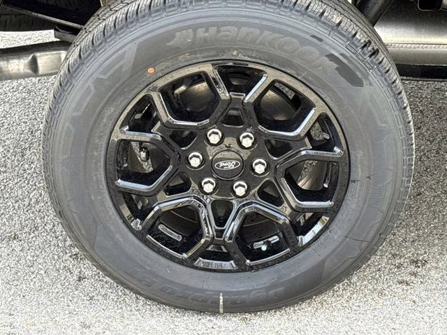 2026 Black Ford F-150 XLT RWD Truck