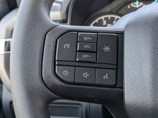 2026 Gray Metallic Ford F-150 XL RWD Truck