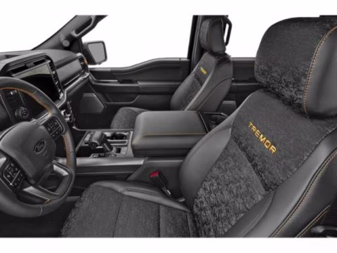 2026 Agate Black Metallic Ford F-150 Tremor 4X4 Truck