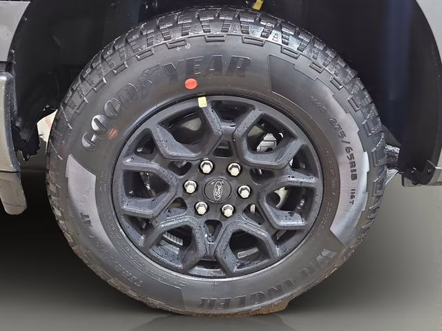 2026 Carbonized Gray Metallic Ford F-150 XLT Black Appearance 4X4 Truck