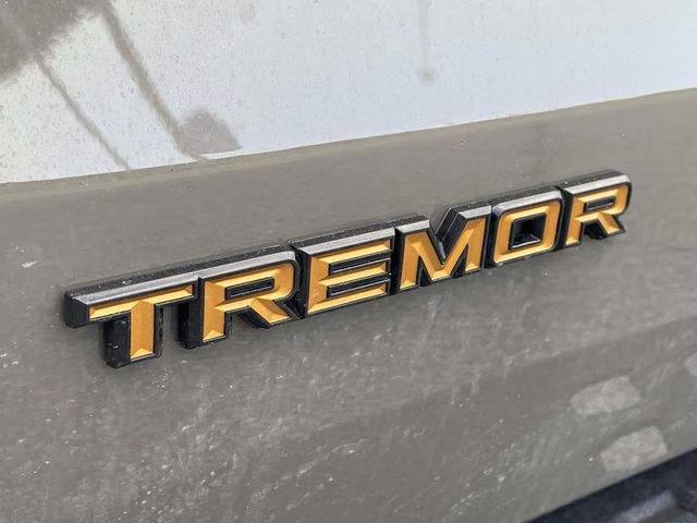 2026 Gray Ford Expedition Tremor 4X4 SUV