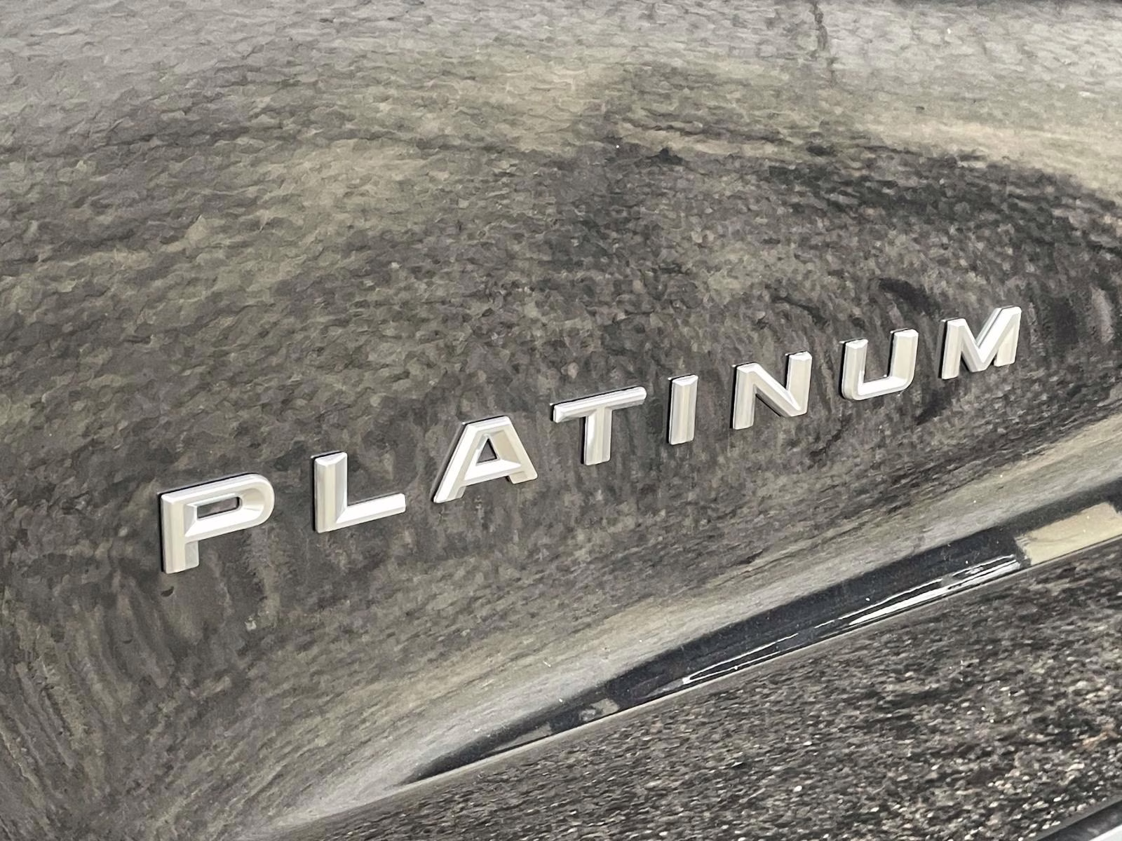 2026 Black Metallic Ford Expedition Max Platinum 4X4 SUV