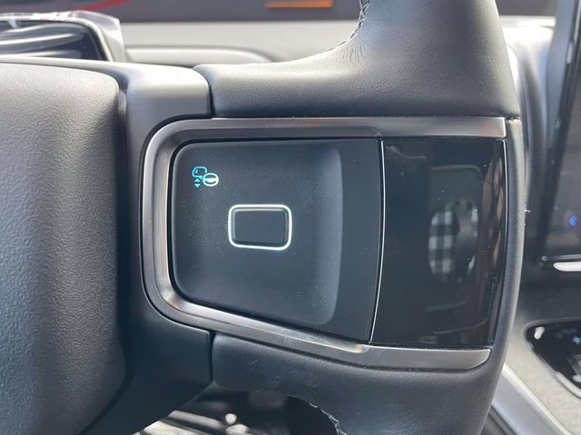 2026 Gray Ford Expedition Tremor 4X4 SUV