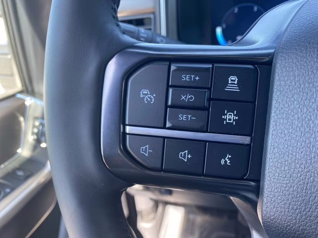 2026 Agate Black Metallic Ford Super Duty F-250 SRW Platinum 4X4 Truck