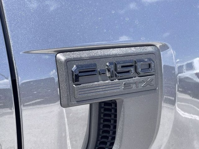 2026 Carbonized Gray Metallic Ford F-150 STX RWD Truck