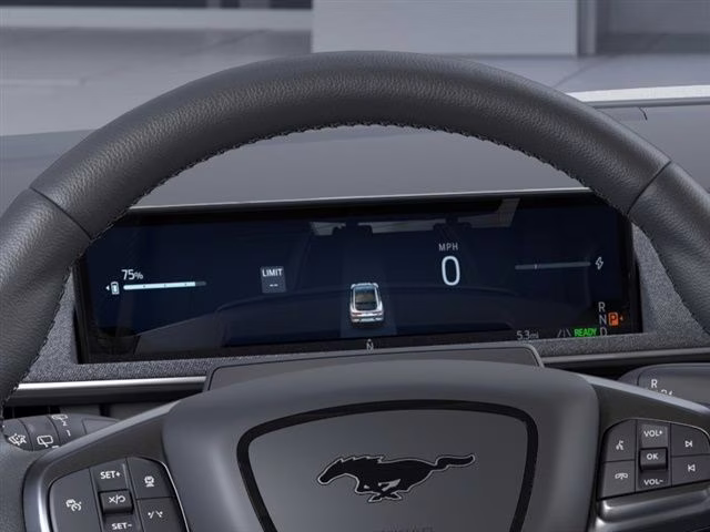 2026 Gray Metallic Ford Mustang Mach-E Premium RWD SUV