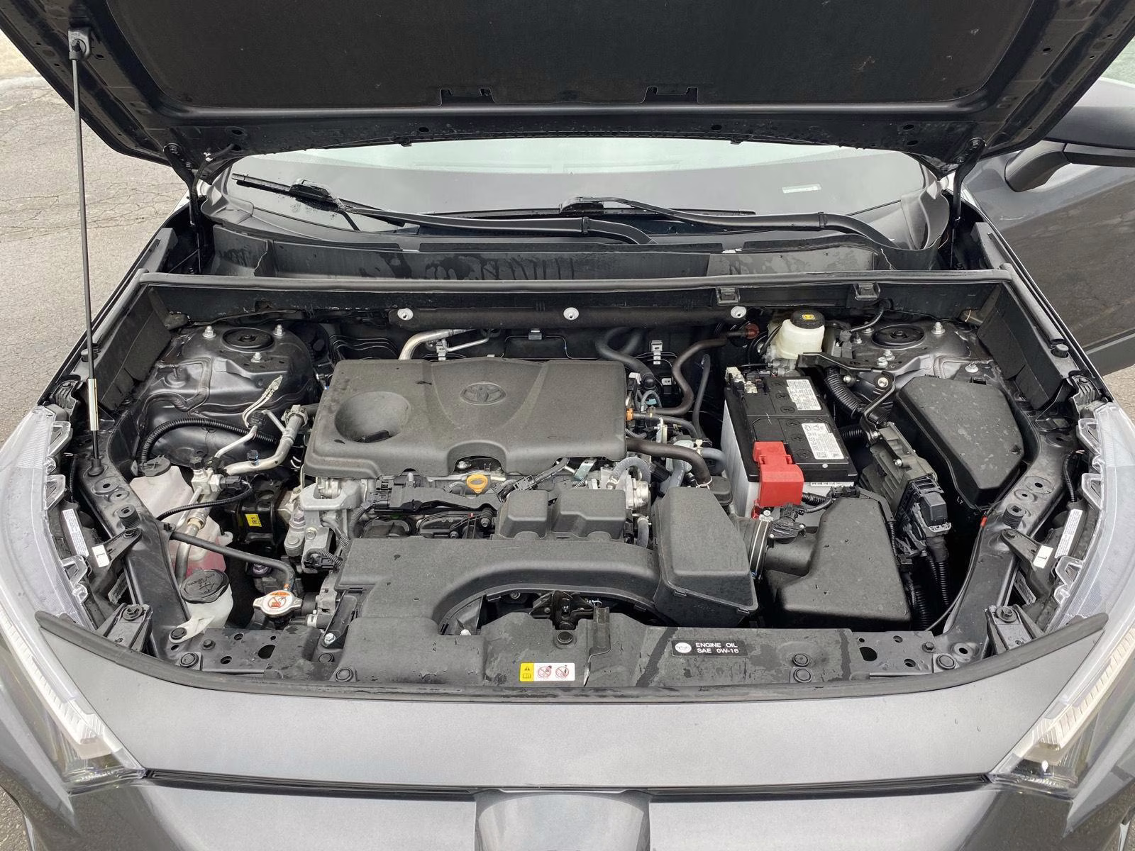 2025 Magnetic Gray Metallic Toyota RAV4 LE FWD SUV