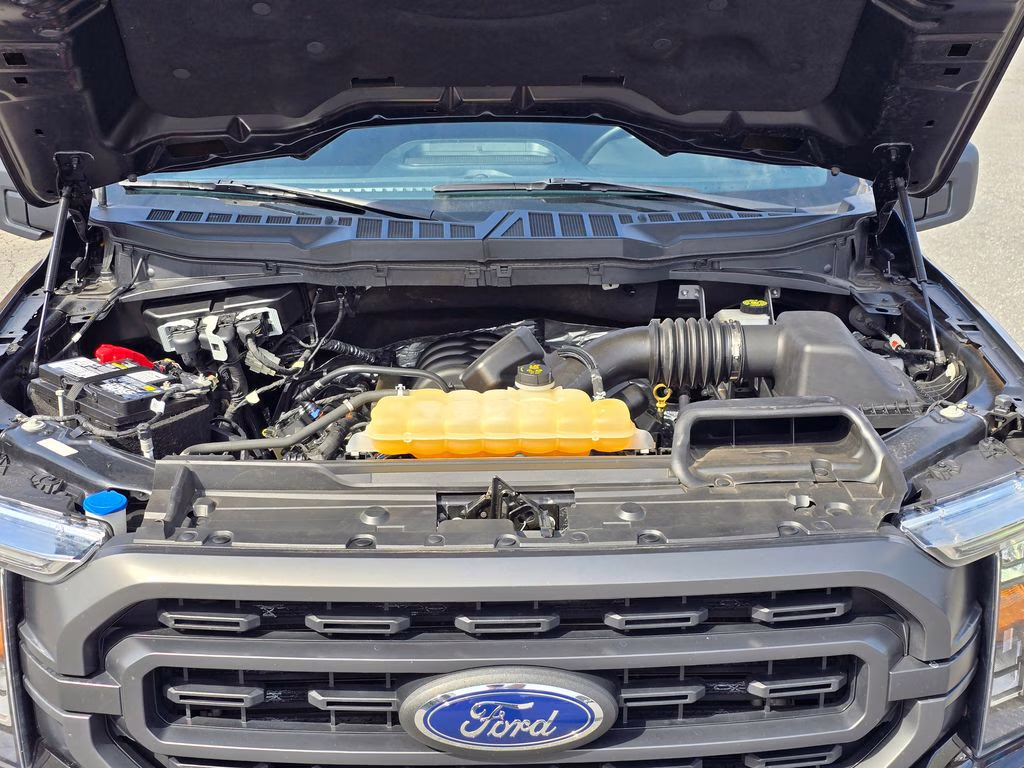 2023 Agate Black Metallic Ford F-150 XLT RWD Truck