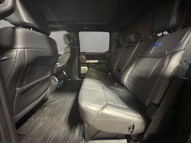 2025 Carbonized Gray Metallic Ford F-150 Platinum 4X4 Truck