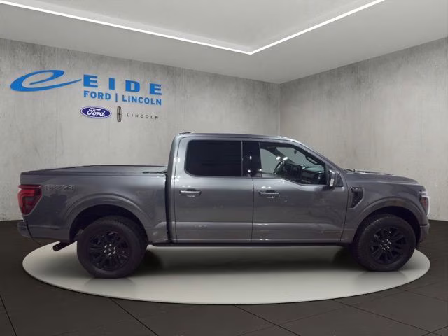 2025 Carbonized Gray Metallic Ford F-150 Platinum 4X4 Truck