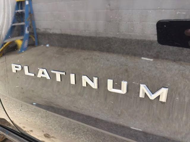 2025 Agate Black Metallic Ford Expedition Max Platinum 4X4 SUV