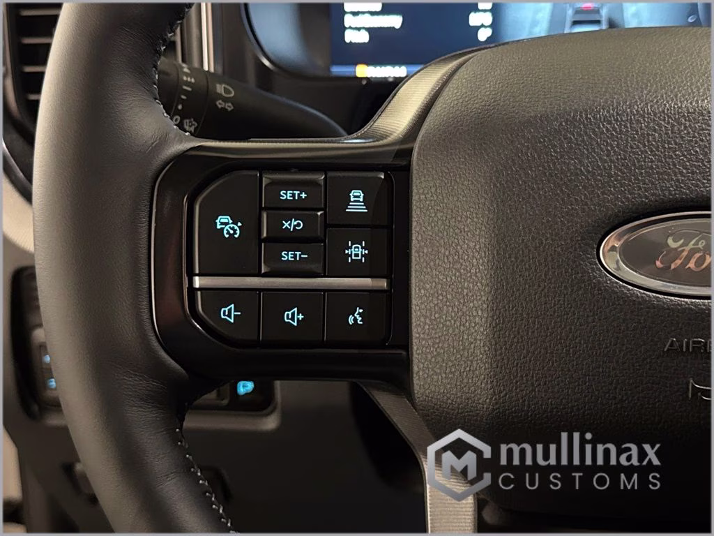 2026 Avalanche Ford Super Duty F-250 SRW Platinum 4X4 Truck