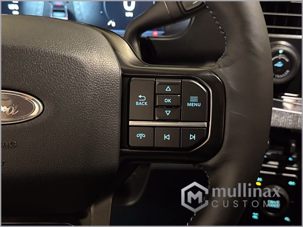 2026 Avalanche Ford Super Duty F-250 SRW Platinum 4X4 Truck