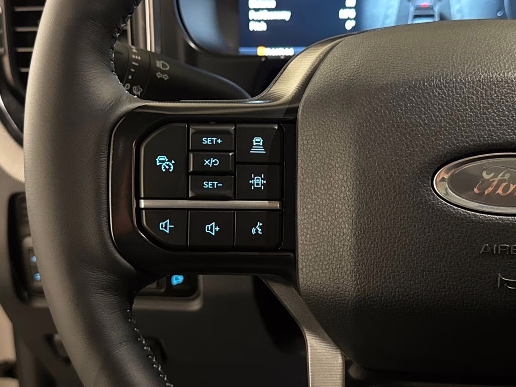 2026 Avalanche Ford Super Duty F-250 SRW Platinum 4X4 Truck