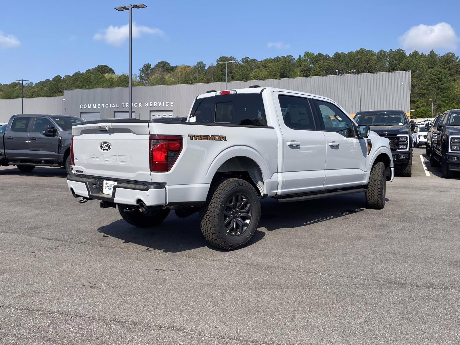 2026 Avalanche Ford F-150 Tremor 4X4 Truck