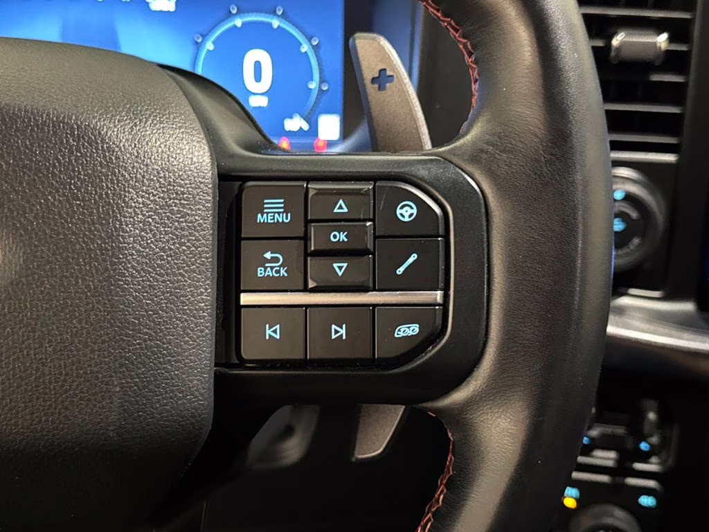 2024 Carbonized Gray Metallic Ford F-150 Raptor 4X4 Truck