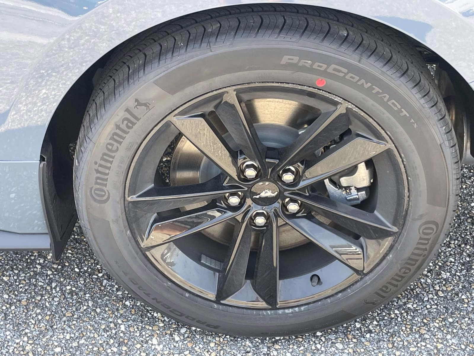 2026 Vapor Blue Metallic Ford Mustang GT RWD Coupe