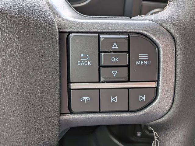 2026 Black Metallic Ford Super Duty F-250 SRW Shelby 4X4 Truck