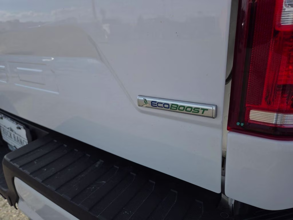 2019 White Ford F-150 XLT 4X4 Truck