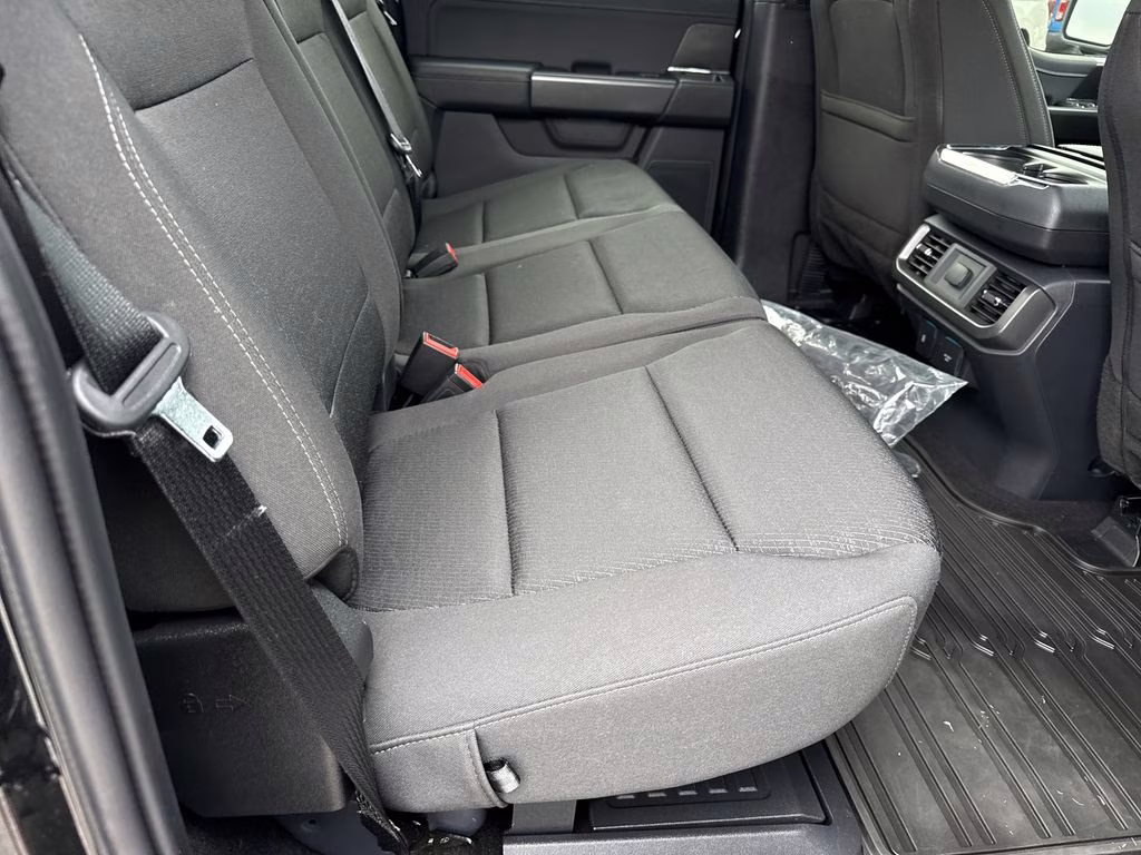 2024 Agate Black Metallic Ford F-150 XLT 4X4 Truck