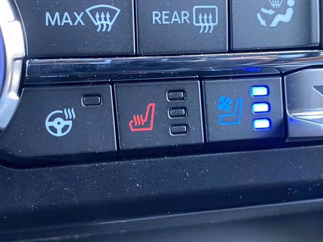 2026 Gray Ford Super Duty F-250 SRW Platinum 4X4 Truck