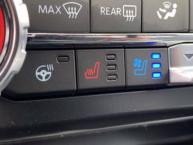 2026 Black Ford Super Duty F-250 SRW Platinum 4X4 Truck