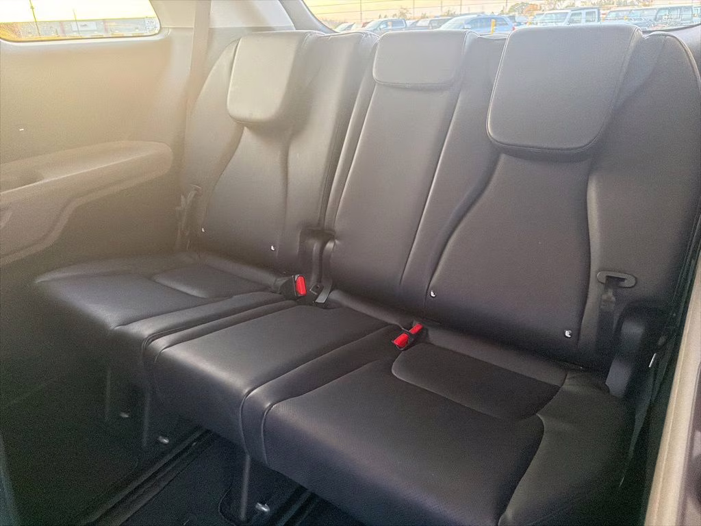 2025 Panthera Metal Kia Carnival LXS FWD Van