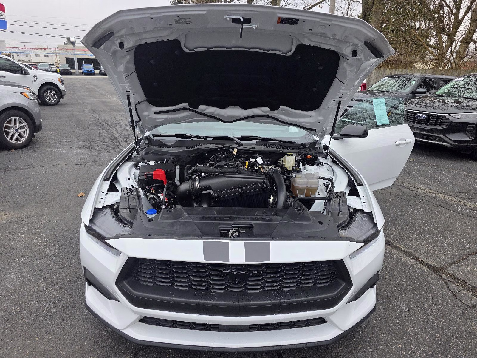 2025 Oxford White Ford Mustang EcoBoost Premium RWD Fastback