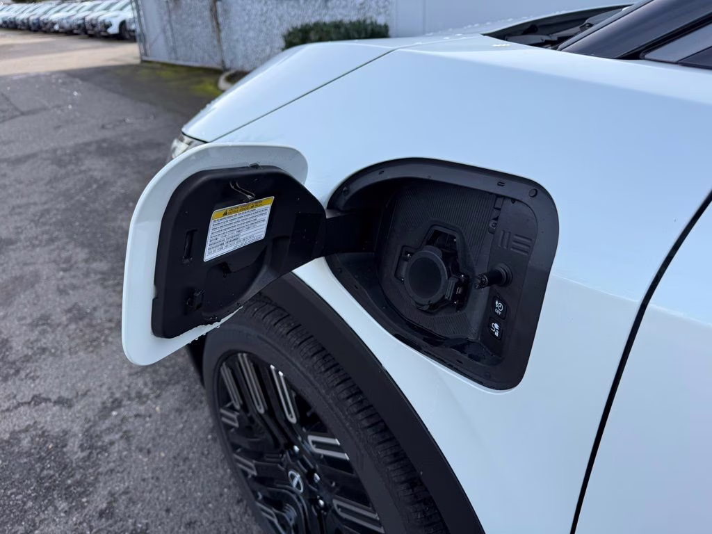 2026 Everest White Pearl/Black Nissan LEAF PLATINUM+ FWD SUV