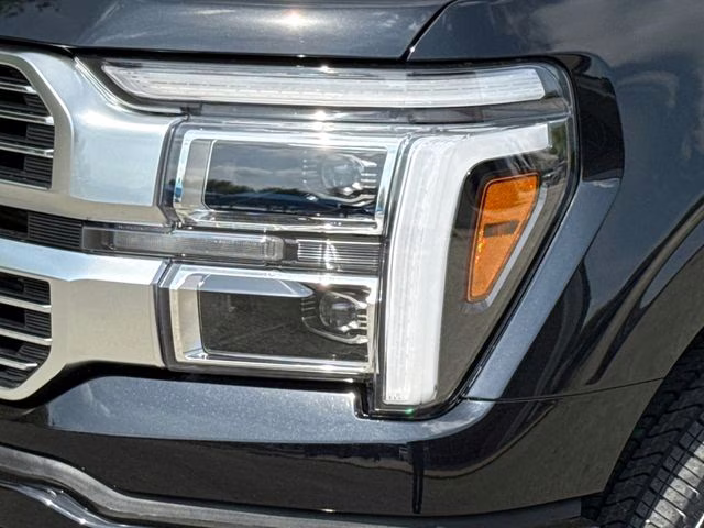 2026 Black Ford F-150 Platinum 4X4 Truck