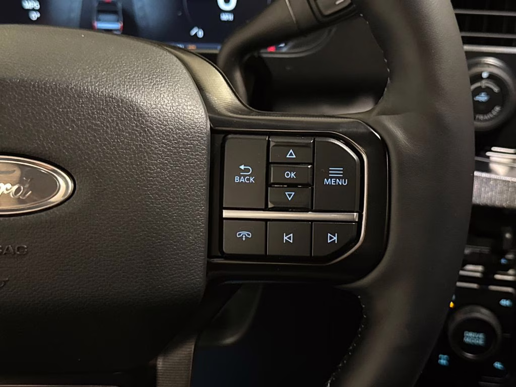 2026 Agate Black Metallic Ford Super Duty F-350 SRW Platinum 4X4 Truck