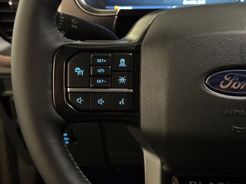 2026 Agate Black Metallic Ford F-150 Platinum 4X4 Truck