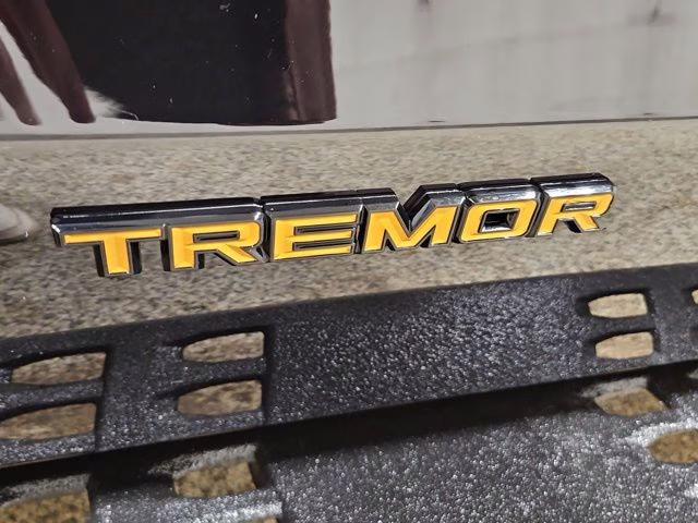 2026 Agate Black Metallic Ford Expedition Tremor 4X4 SUV