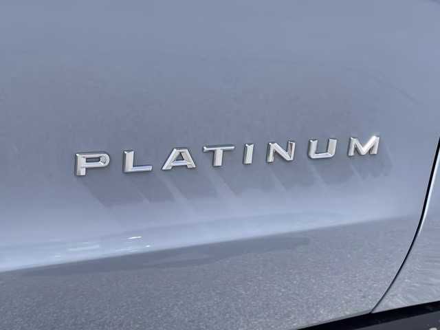 2026 Glacier Gray Metallic Tri-Coat Ford Expedition Platinum 4X4 SUV