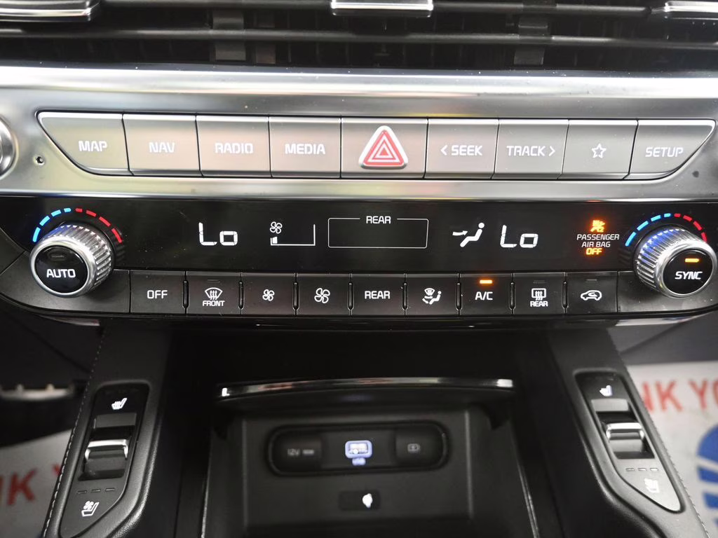 2022 Dark Moss Kia Telluride SX AWD SUV